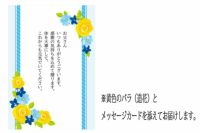 雁木ノ弐とイカめんたい柚子風味セット
