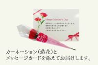 【母の日限定】八女玉露羊羹 400ｇ（200g×2袋）