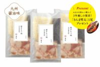 島本博多もつ鍋九州醤油味（2人前×3袋）