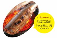 島本 博多もつ鍋 九州醤油味（2人前×3袋）さんまめんたいプレゼント
